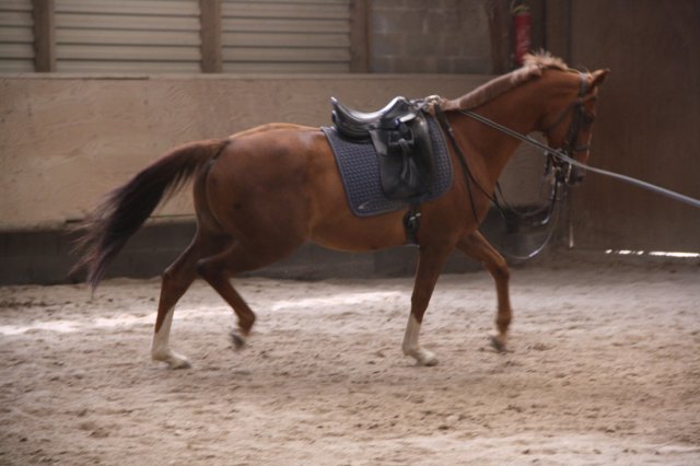 Juin 2010